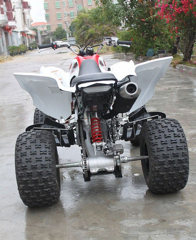 液体はファン4の打撃SOHCが付いているが付いている4つの荷車引きを競争させるYamahaの青年Atv 700ccを冷却しました