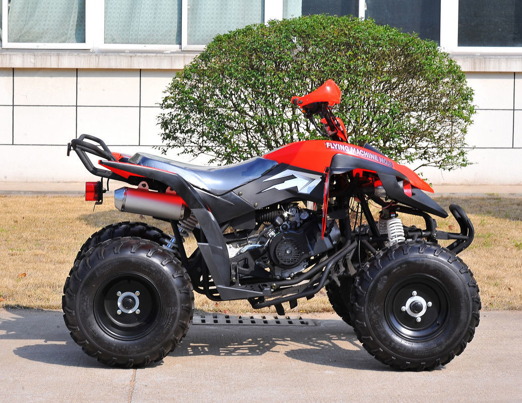 座席青年競争ATV 200CCの赤4 x 4の隣り合わせのAtv 1台の実用的な車