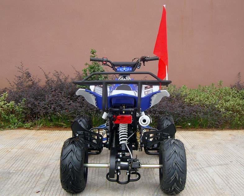 大人、110cc 4荷車引きの電気開始のための前部/後部ディスク ブレーキ4の荷車引き