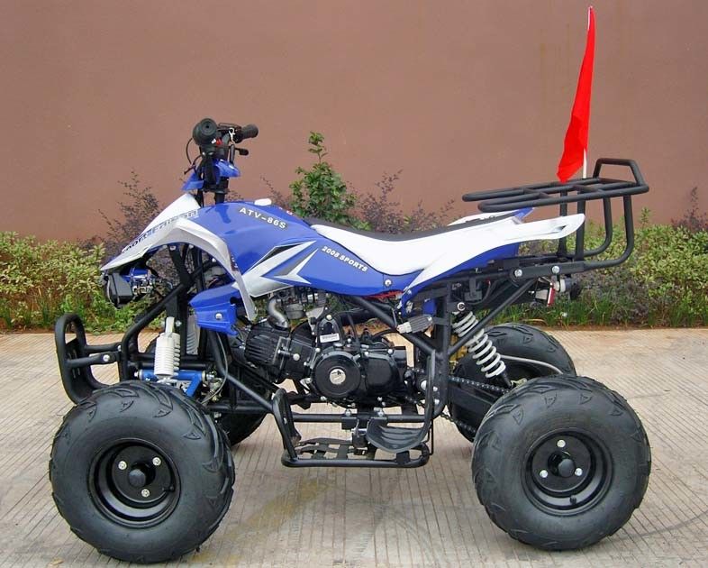 大人、110cc 4荷車引きの電気開始のための前部/後部ディスク ブレーキ4の荷車引き