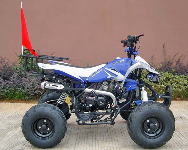 大人、110cc 4荷車引きの電気開始のための前部/後部ディスク ブレーキ4の荷車引き