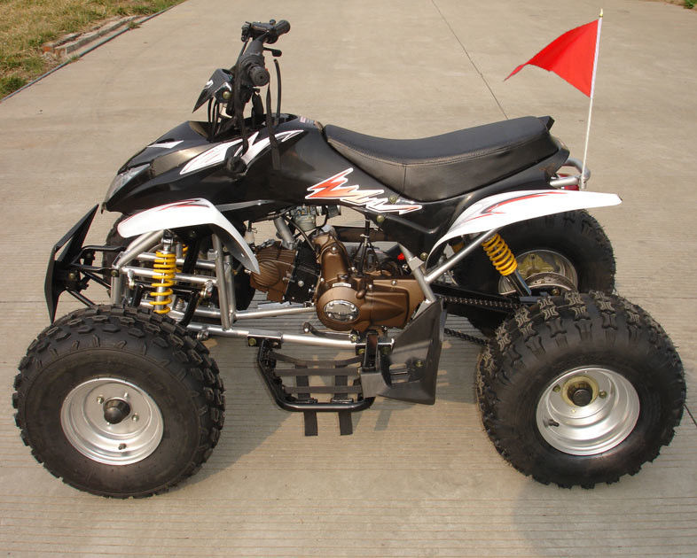 逆の前部二重ドラム・ブレーキとフル オート中型の四輪ATV 110cc