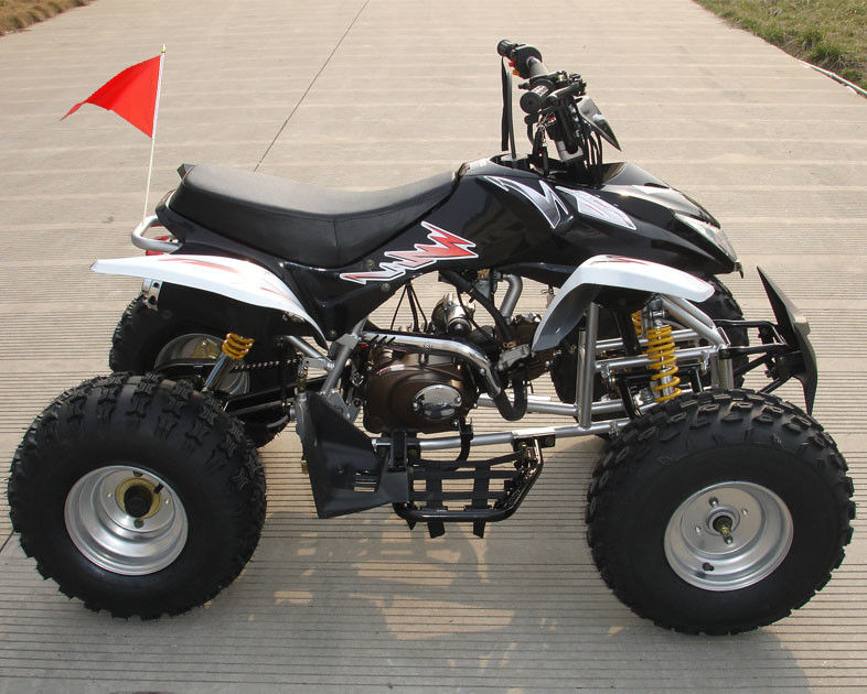 逆の前部二重ドラム・ブレーキとフル オート中型の四輪ATV 110cc