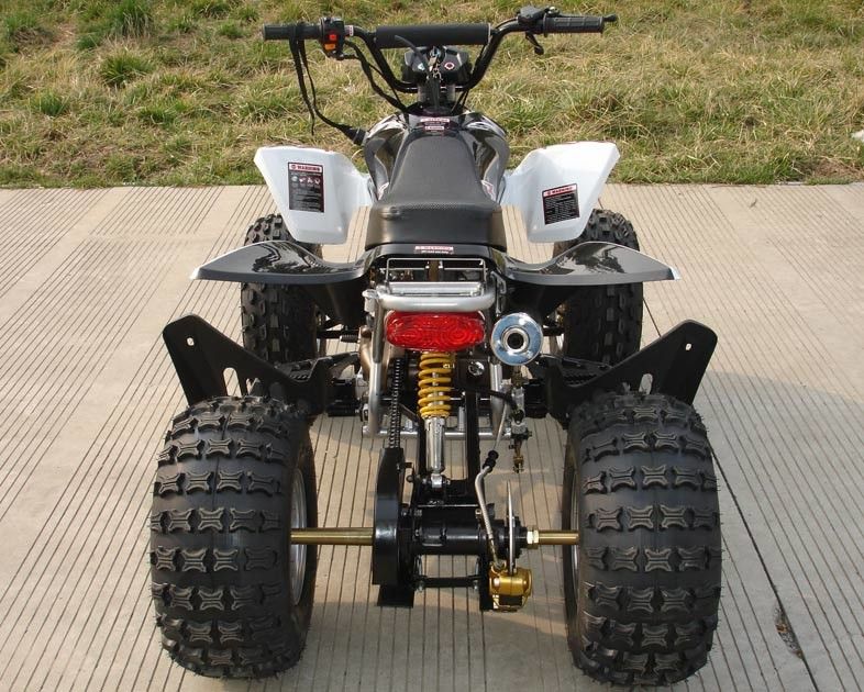 逆の前部二重ドラム・ブレーキとフル オート中型の四輪ATV 110cc