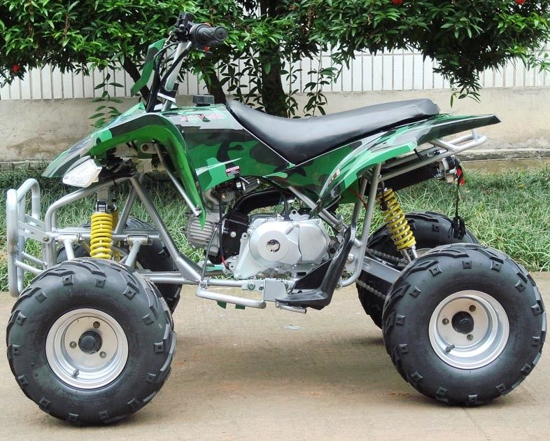 中間のサイズの道の法的クォードは110cc 4を-冷却される冷却される/水打撃の空気自転車に乗ります