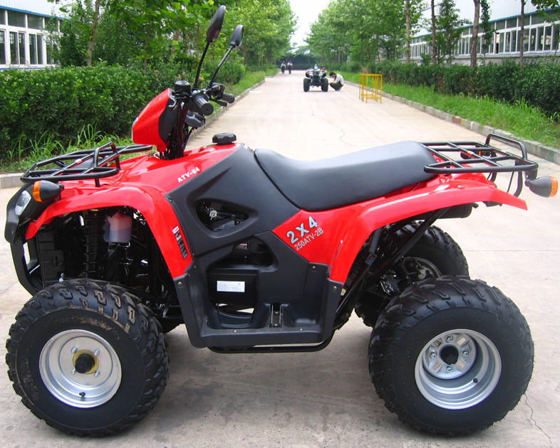 大型の後退ギア/内部のギヤ ボックスとの冷却された青年競争のAtv 260ccに油をさして下さい