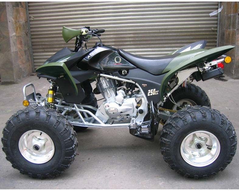 Atv 250cc AtvのクォードのバイクCDIの電気開始マニュアルのクラッチを競争させる特大の青年
