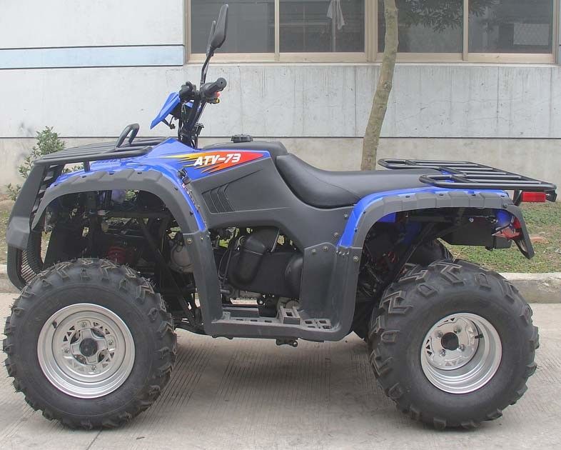 フル オートの逆300cc 2 Seater 4の荷車引き2 * 4水はシャフト ドライブを冷却しました