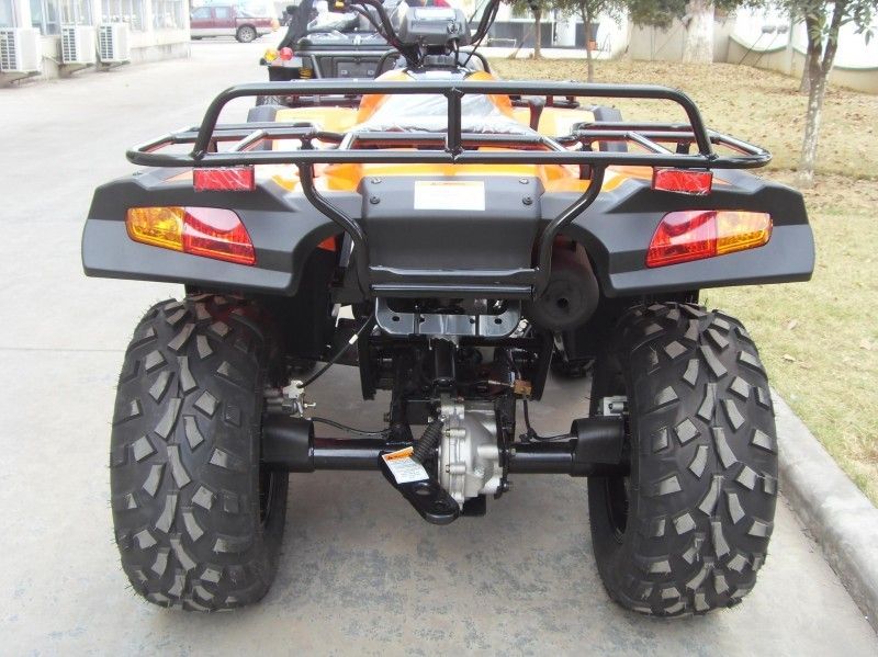 2つの座席、二重腕/単一の腕との300CC実用的な車Atv 40.3mile/H