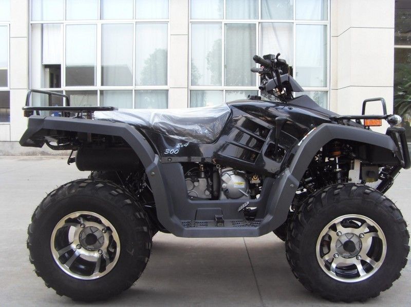 2つの座席、二重腕/単一の腕との300CC実用的な車Atv 40.3mile/H