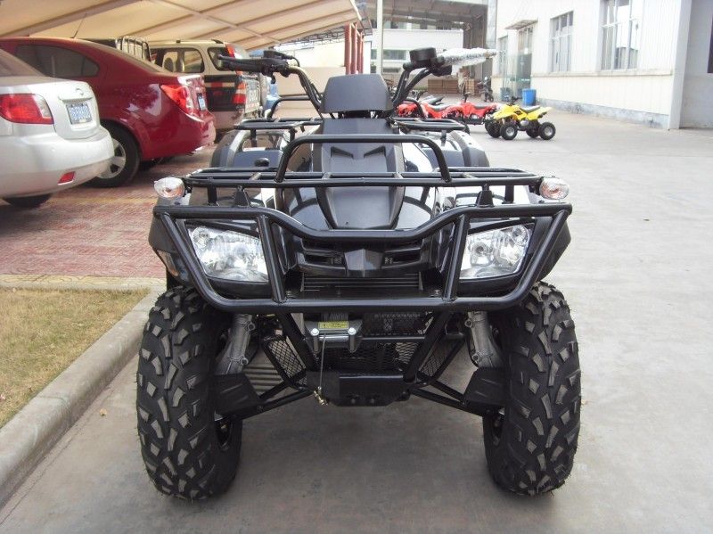 2つの座席、二重腕/単一の腕との300CC実用的な車Atv 40.3mile/H