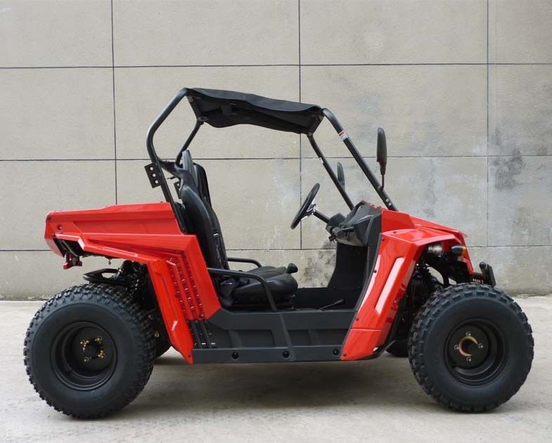 子供/大人EEC EPAのためのフットブレーキ/油圧ディスク150ccガス公社車は点を打ちます