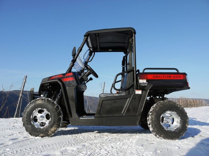 UTV 250のEfi -赤、WindsheildおよびTowbarのTiltable積込み機のウィンチのガス公社車