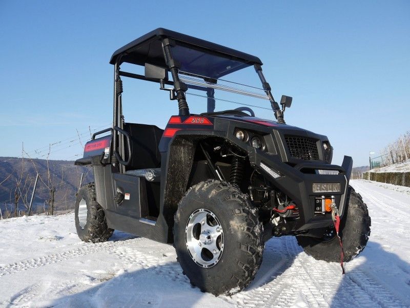 UTV 250のEfi -赤、WindsheildおよびTowbarのTiltable積込み機のウィンチのガス公社車