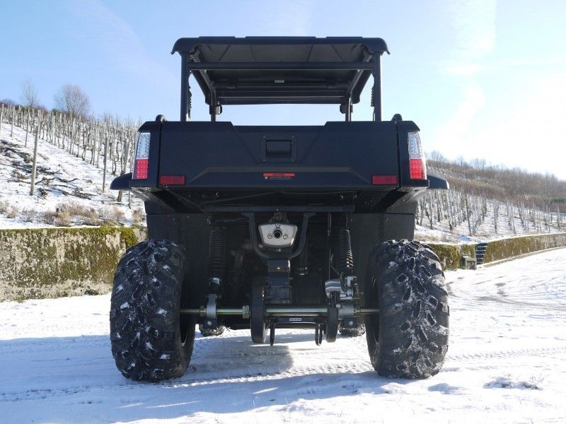 UTV 250のEfi -赤、WindsheildおよびTowbarのTiltable積込み機のウィンチのガス公社車