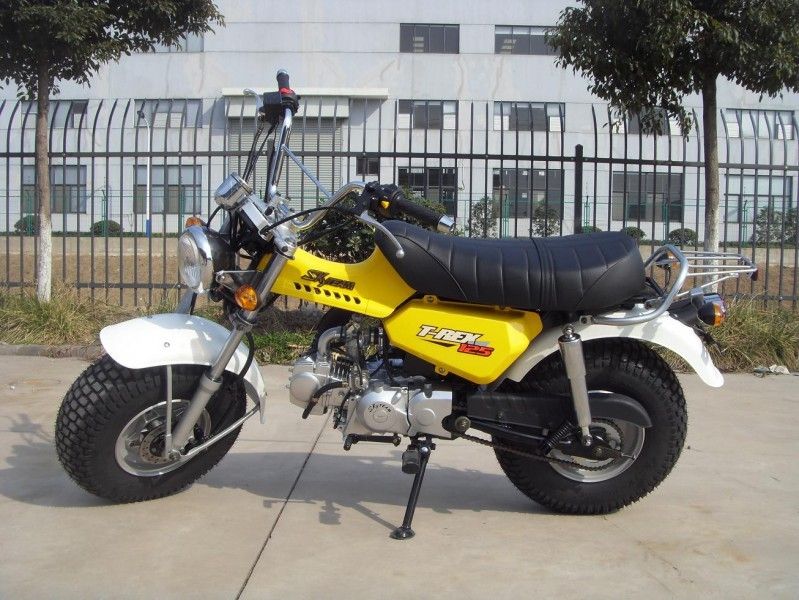Skyteam T - Rex 125の125cc小型バイク、4つの速度ギヤが付いている2人のオートバイ
