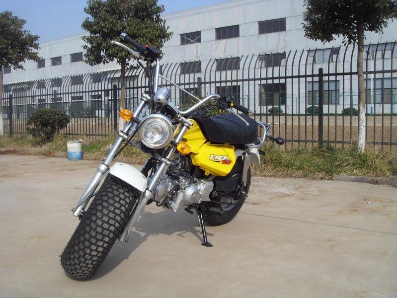 Skyteam T - Rex 125の125cc小型バイク、4つの速度ギヤが付いている2人のオートバイ