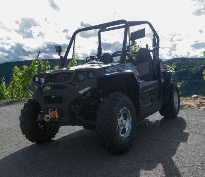 250cc大型の四輪実用的な車、水はATVの実用的な車を冷却しました