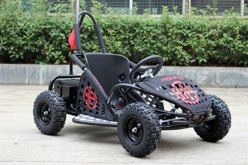 二人用バギー、道を離れた1000w子供35km/HはKartの行きます承認されるKart EPA行きます
