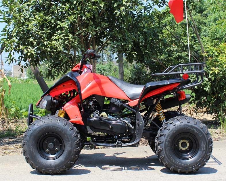 13.9HP水は後部ディスク ブレーキが付いているATV 200cc 4の荷車引きを競争させる青年を冷却しました