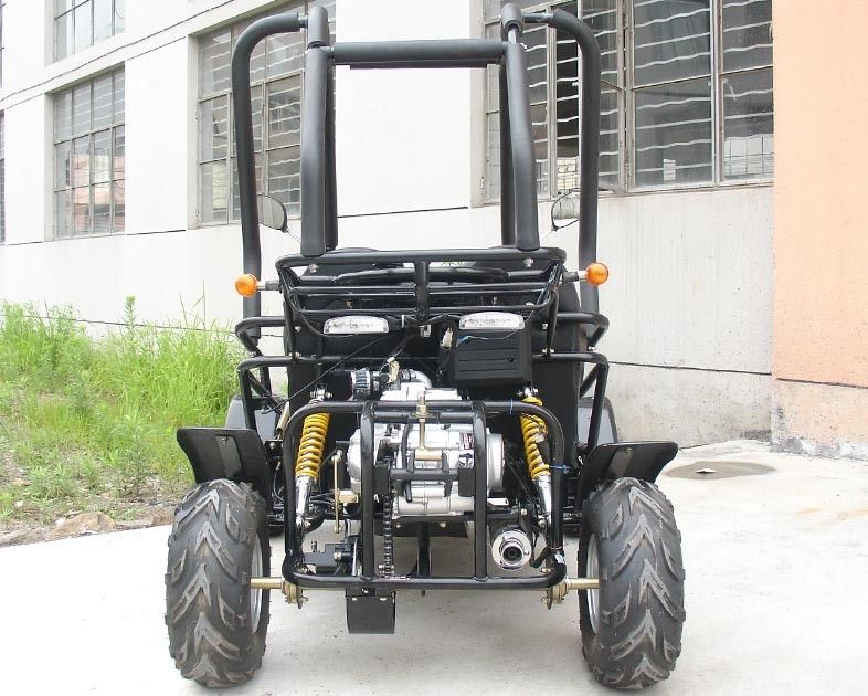 小さい3つの速度110ccはバギー2 Seater Atv CDI Electircの開始を用いるKartの行きます
