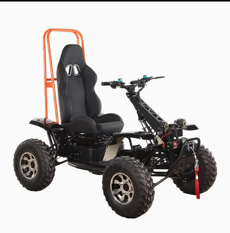 Factory 6000W 4 Wheel Drive Beach Desert Snow Outdoor Use 60V 50ah Lithium Mobility Electric Quad Buggy