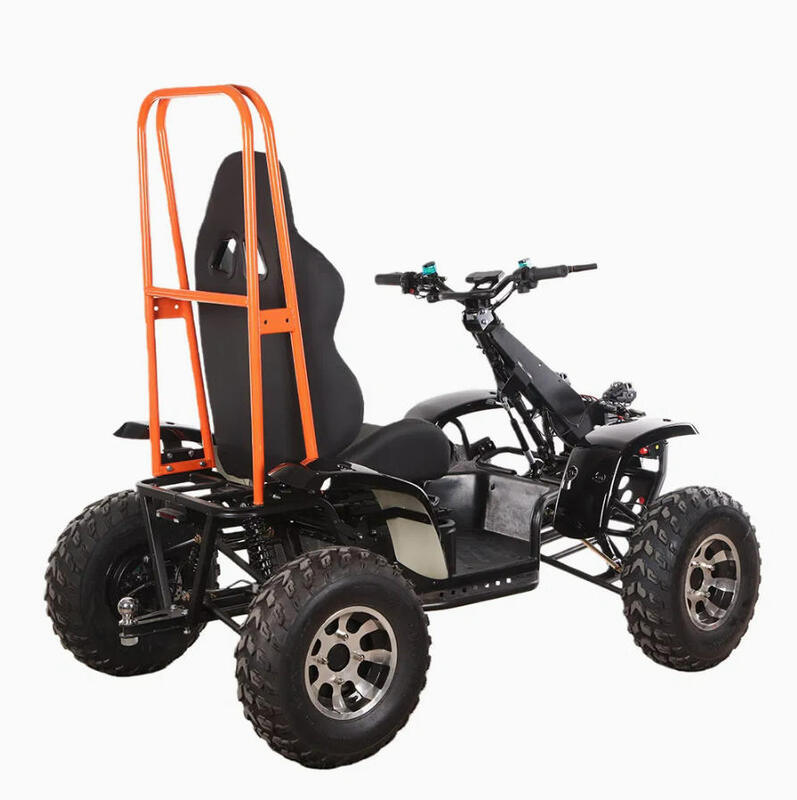 Factory 6000W 4 Wheel Drive Beach Desert Snow Outdoor Use 60V 50ah Lithium Mobility Electric Quad Buggy