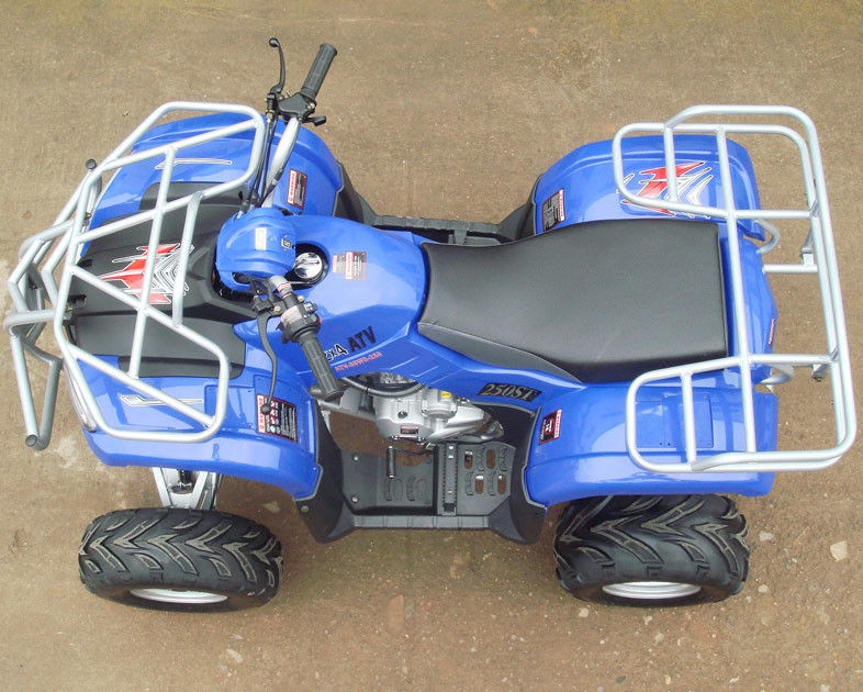 200c大型の青年競争ATV 10