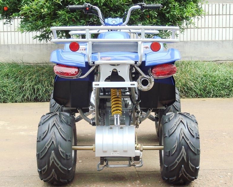 200c大型の青年競争ATV 10