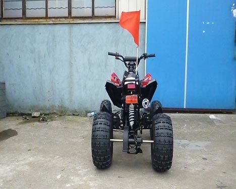 ATVの前部ドラム・ブレーキの後部ディスク ブレーキ12V 4AH電池を競争させる電気開始の青年