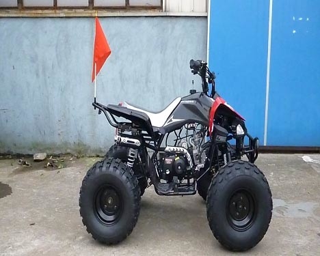 ATVの前部ドラム・ブレーキの後部ディスク ブレーキ12V 4AH電池を競争させる電気開始の青年