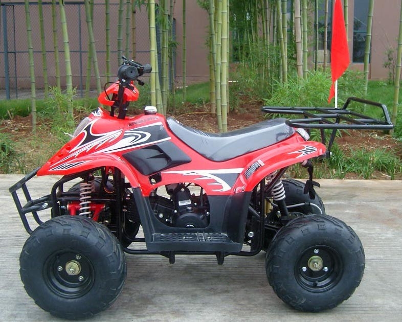 前部二重振動腕70cc ATVのクォードのバイク80KGの最高のローディングの高性能