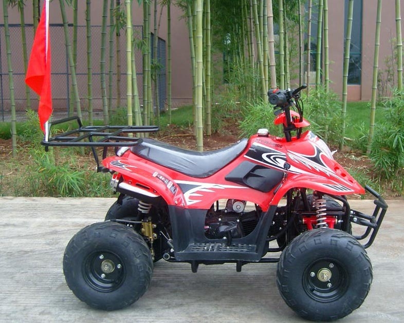 前部二重振動腕70cc ATVのクォードのバイク80KGの最高のローディングの高性能