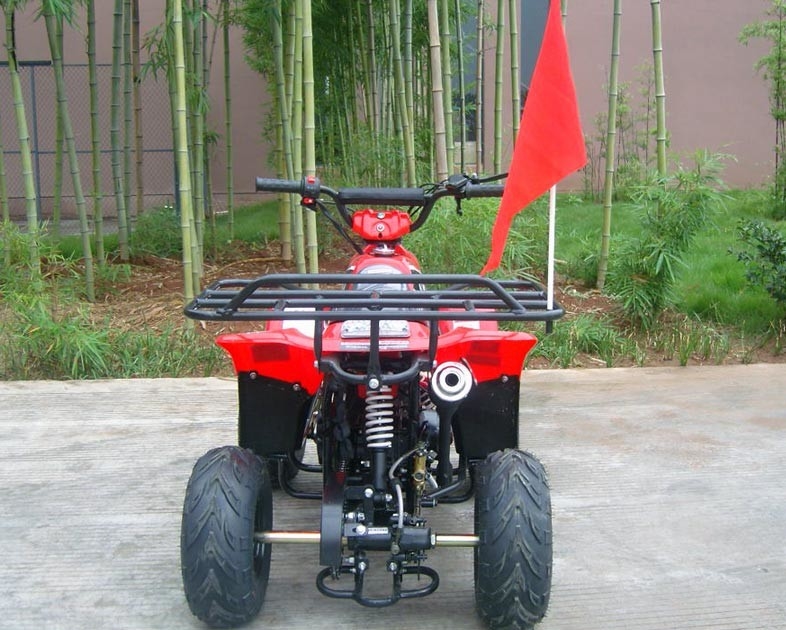前部二重振動腕70cc ATVのクォードのバイク80KGの最高のローディングの高性能