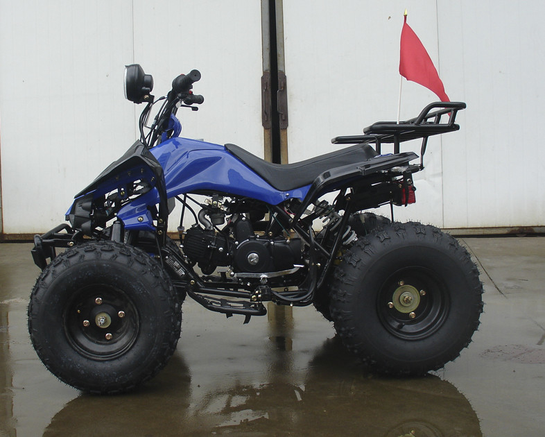 8つは林道のためのATV 4の荷車引きのオートバイ110ccを競争させる空気によって冷却される青年を疲れさせます