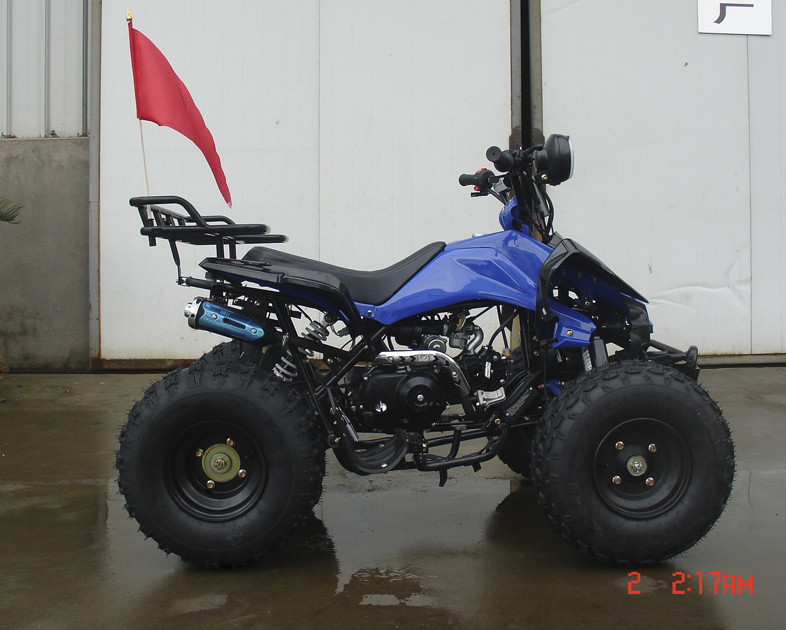 8つは林道のためのATV 4の荷車引きのオートバイ110ccを競争させる空気によって冷却される青年を疲れさせます