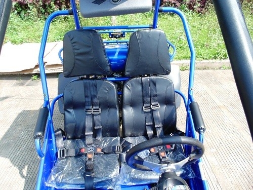 2.25 Gal 17.4のHP CDIの点火は300cc CVT EFIバギーKartの行く