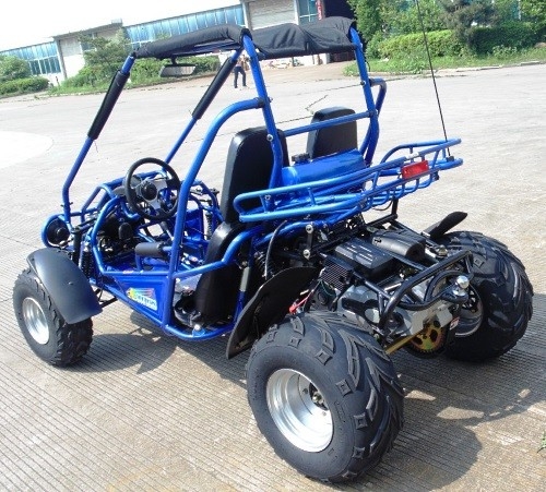 2.25 Gal 17.4のHP CDIの点火は300cc CVT EFIバギーKartの行く