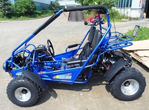 2.25 Gal 17.4のHP CDIの点火は300cc CVT EFIバギーKartの行く