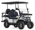 48v 4 Seater Motorized Golf Cart Fastest 25 MPH
